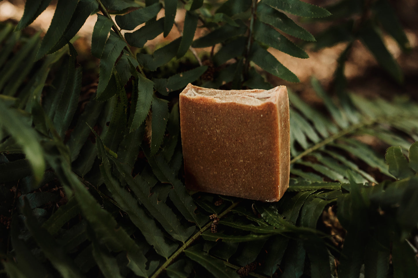 SOAP Freshly Grounded